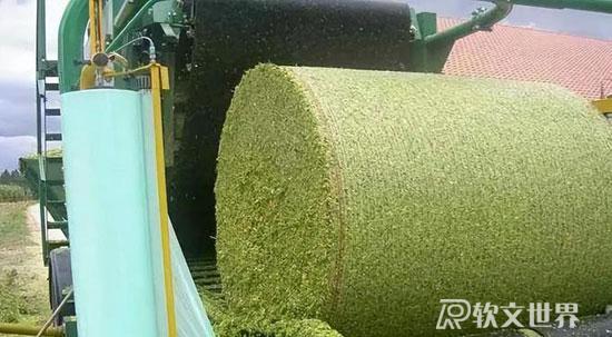 青麥?zhǔn)崭钍录馕觯恨r(nóng)民有權(quán)選擇割青麥作飼料嗎？